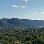 Peran Vikendica *